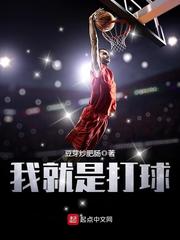 我就是打球全文阅读