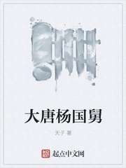 大唐杨国舅全文阅读