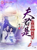 夫君是空降满级大佬全文阅读