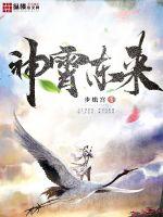 神霄东来全文阅读