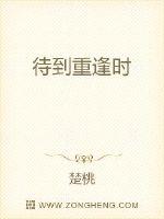 待到重逢时全文阅读