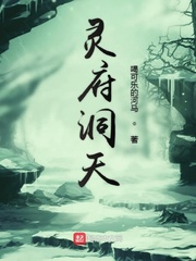 灵府洞天全文阅读