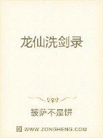 龙仙洗剑录全文阅读