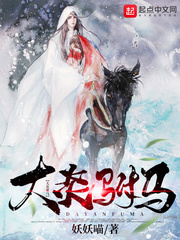 大炎驸马全文阅读