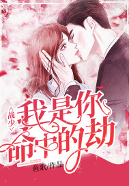 战少，我是你命中的劫全文阅读