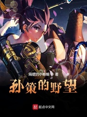 孙策的野望全文阅读