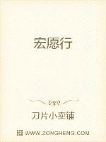 宏愿行全文阅读