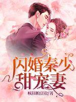 闪婚秦少甜宠妻全文阅读