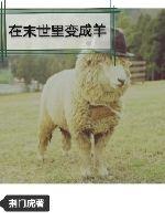 在末世里变成羊全文阅读