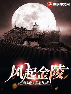 风起金陵全文阅读