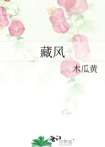 藏风全文阅读