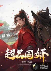 超品国婿全文阅读