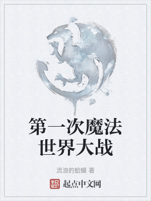 第一次魔法世界大战全文阅读