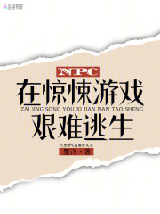 NPC在惊悚游戏艰难逃生全文阅读
