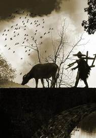 你好老刘全文阅读