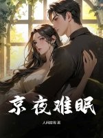 京夜难眠全文阅读