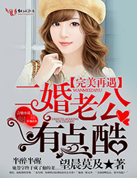 完美再遇，二婚老公有点酷全文阅读