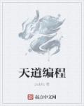 天道编程全文阅读